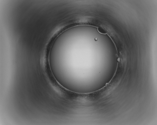 X0000113910728200909241509