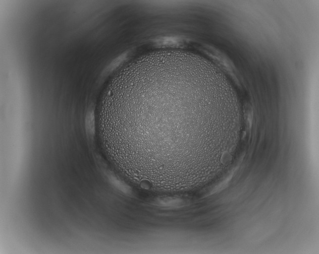 X0000113910729200909241509