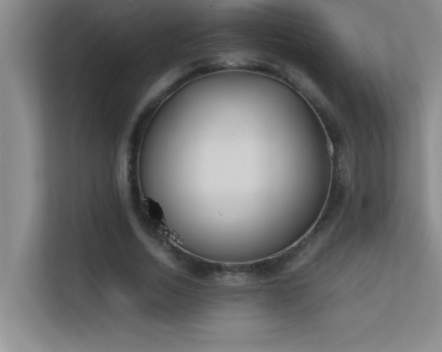 X0000113910730200909241509