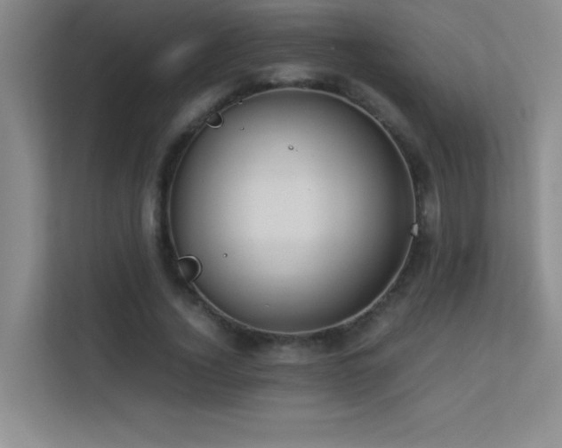 X0000113910732200909241509