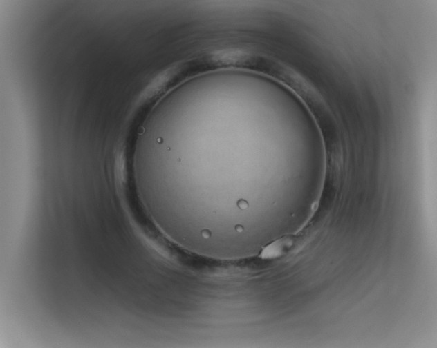 X0000113910734200909241509