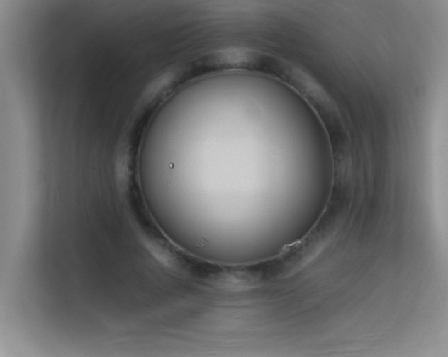 X0000113910736200909241509