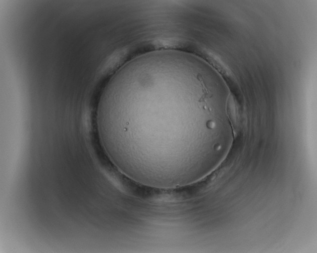 X0000113910738200909241509