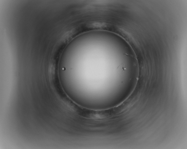 X0000113910739200909241509