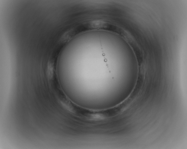 X0000113910741200909241509
