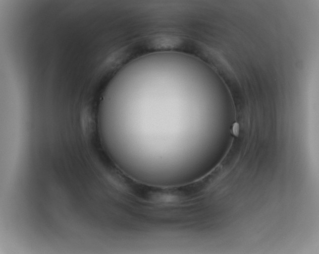 X0000113910743200909241509