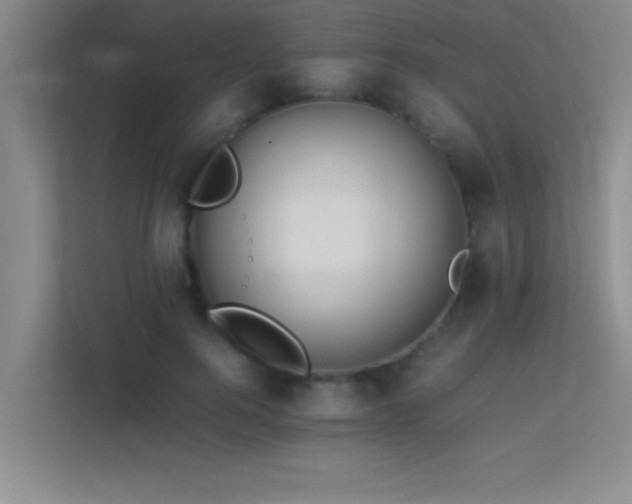 X0000113910744200909241509