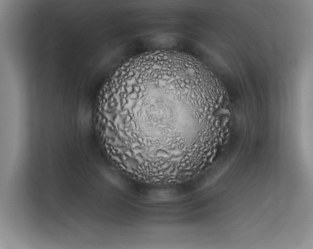 X0000113910745200909241509
