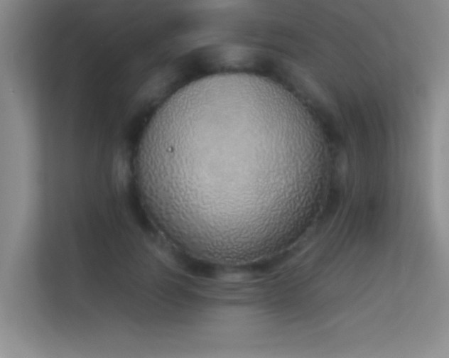 X0000113910746200909241509