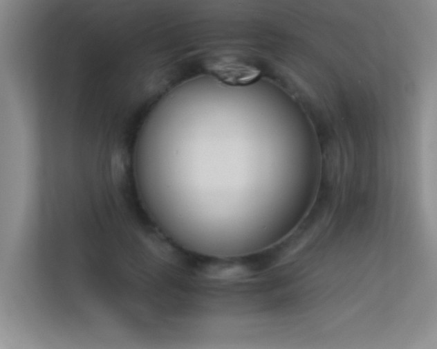 X0000113910747200909241509
