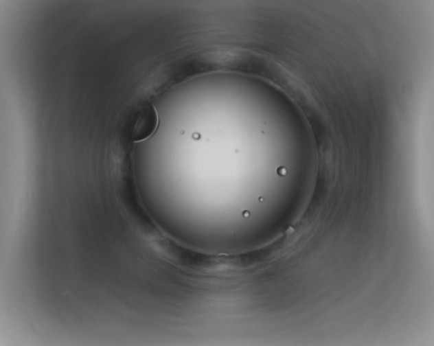 X0000113910750200909241509