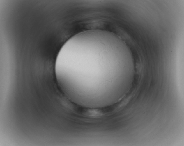 X0000113910753200909241509
