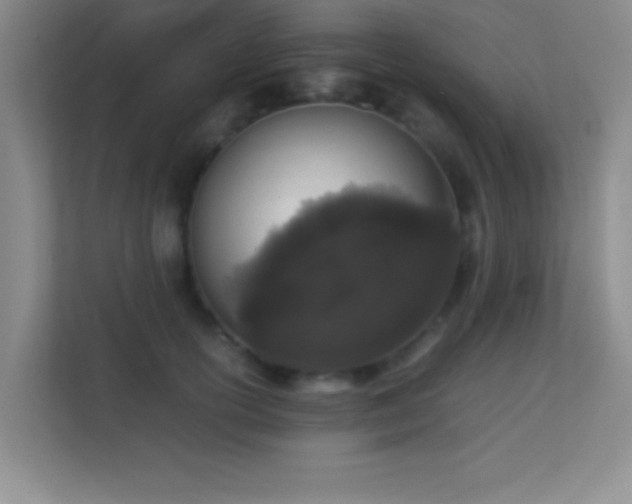 X0000113910754200909241509