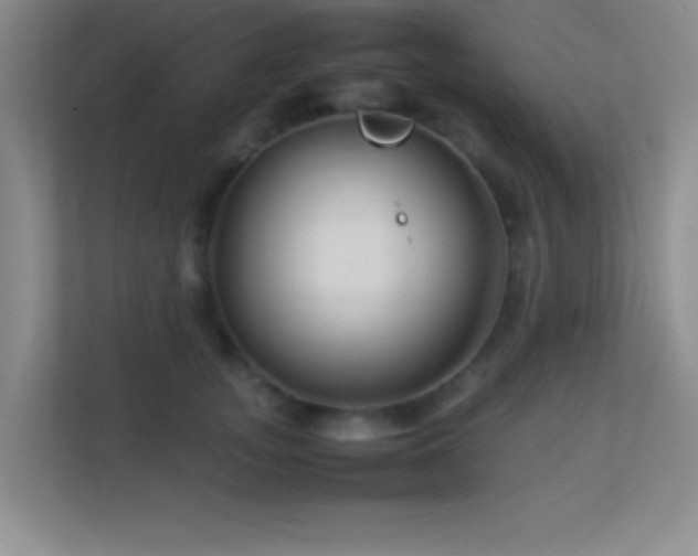 X0000113910755200909241509