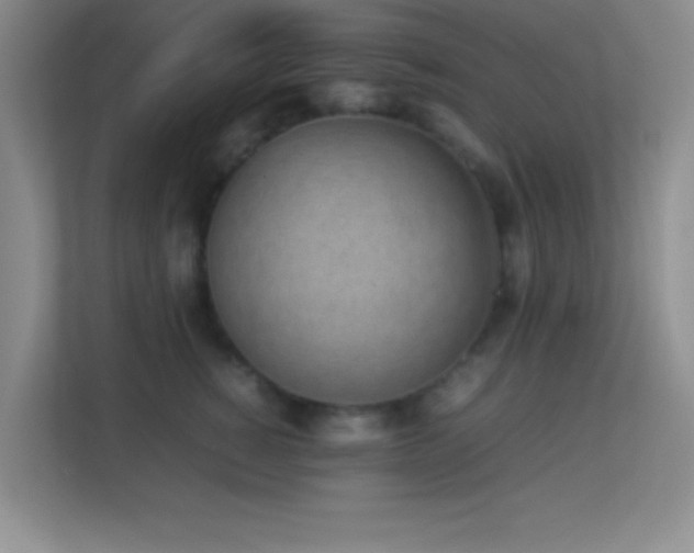 X0000113910760200909241509