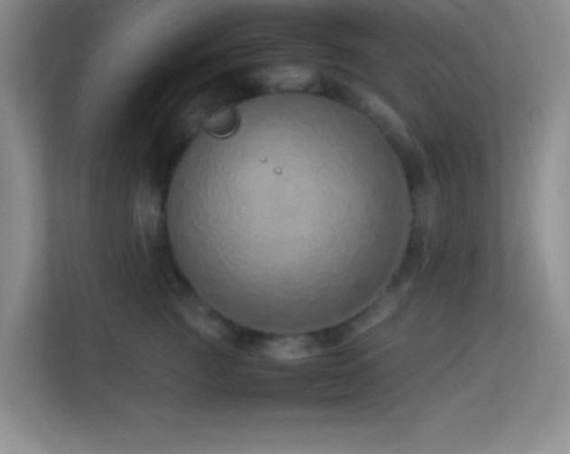 X0000113910761200909241509