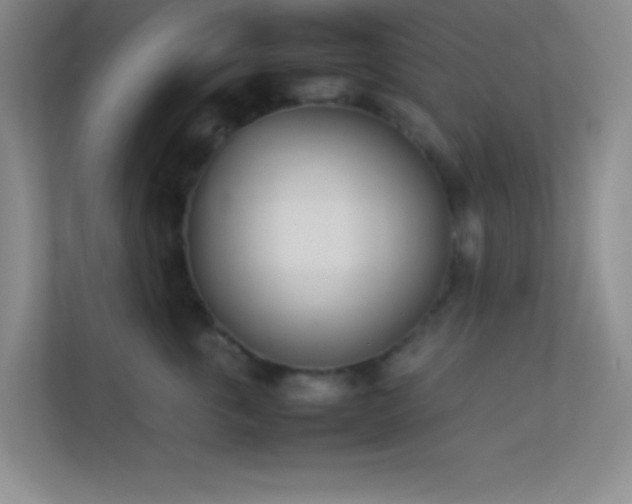 X0000113910763200909241509