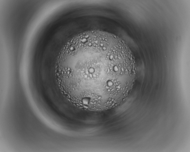 X0000113910765200909241509