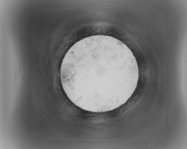 X0000113910769200909241509