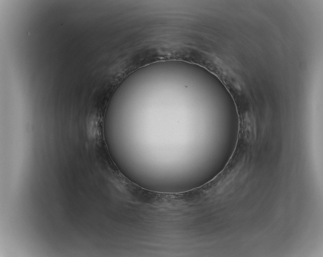 X0000113910770200909241509