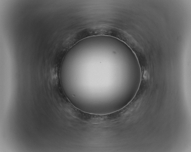 X0000113910771200909241509