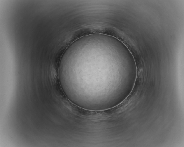 X0000113910772200909241509