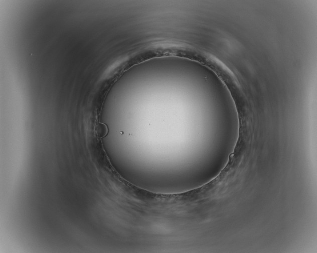 X0000113910775200909241509