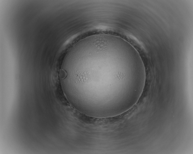 X0000113910776200909241509