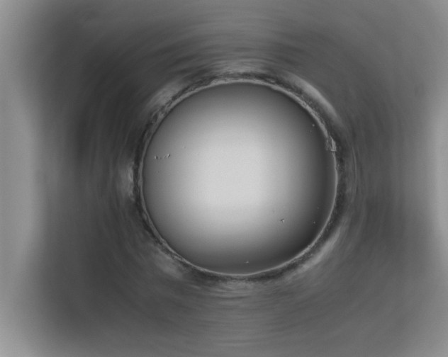 X0000113910777200909241509