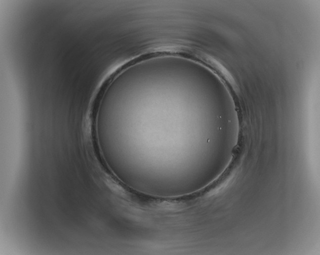 X0000113910779200909241509