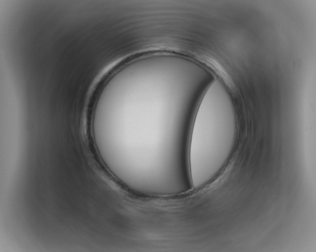 X0000113910780200909241509