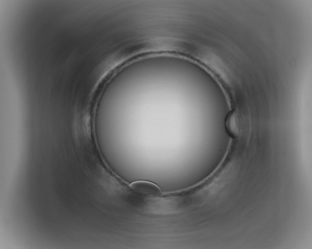 X0000113910781200909241509