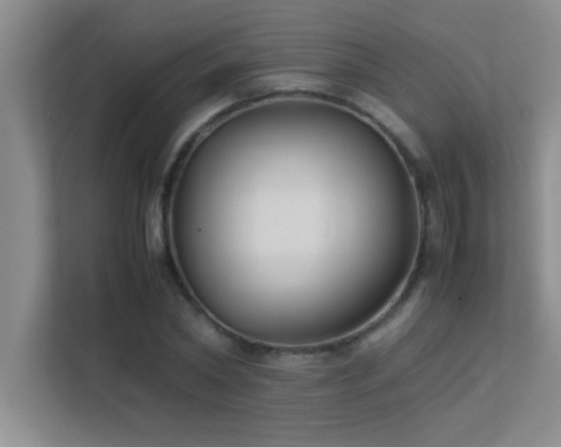 X0000113910782200909241509