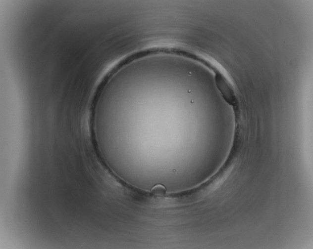 X0000113910783200909241509