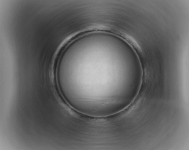 X0000113910784200909241508