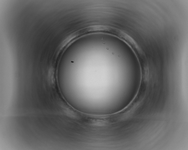 X0000113910786200909241508