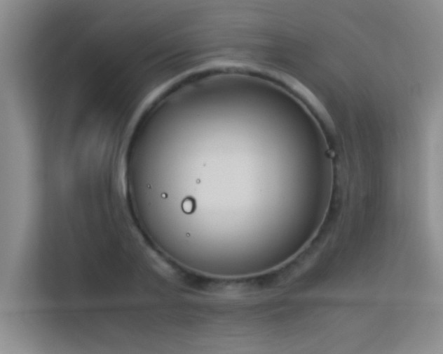 X0000113910791200909241508