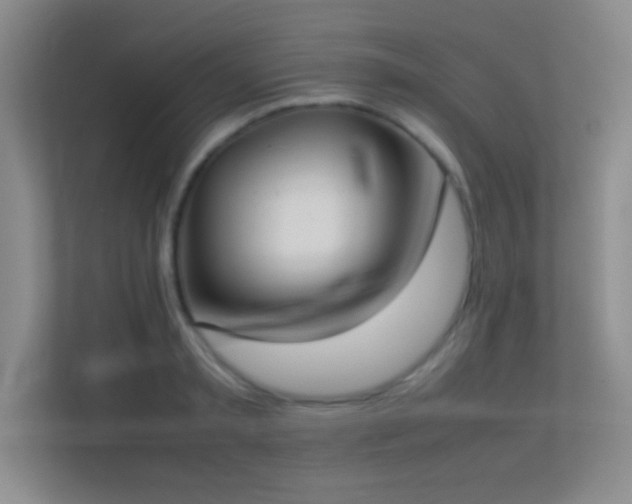 X0000113910797200909241508