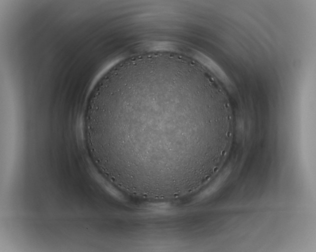 X0000113910798200909241508