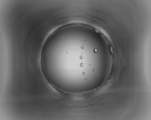 X0000113910799200909241508