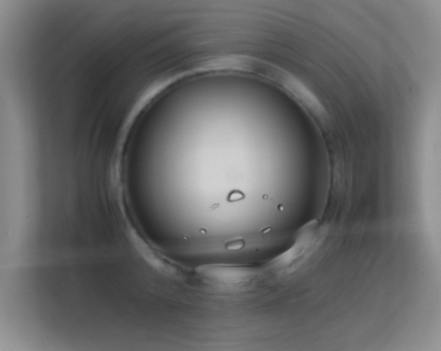 X0000113910800200909241508