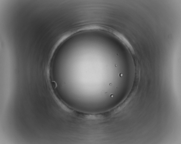 X0000113910805200909241508