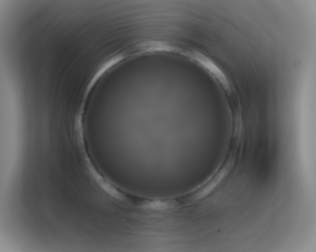 X0000113910806200909241508