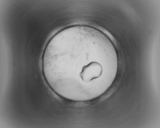 X0000113910807200909241508