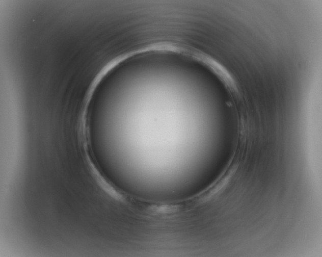 X0000113910808200909241508