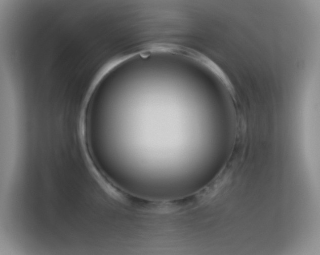 X0000113910811200909241508