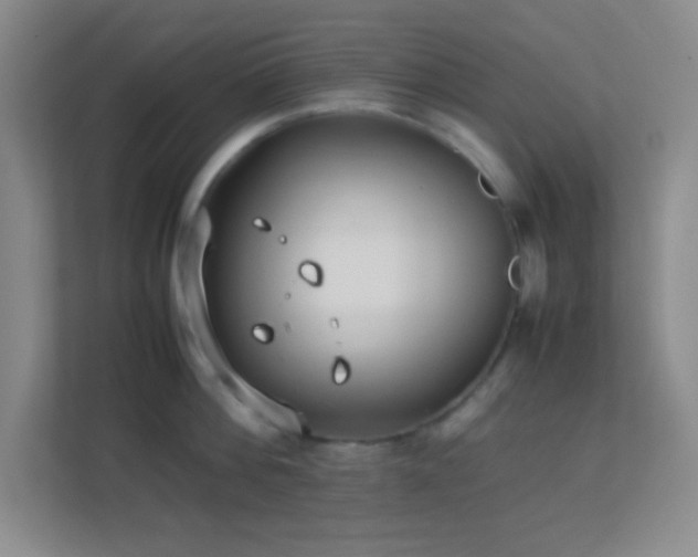 X0000113910812200909241508