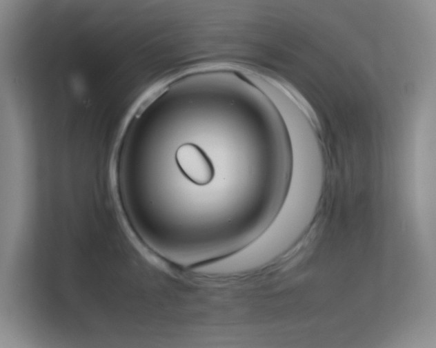 X0000113910813200909241508