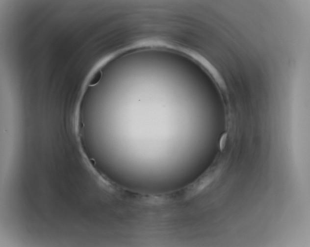 X0000113910815200909241508