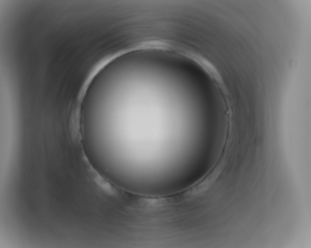 X0000113910816200909241508